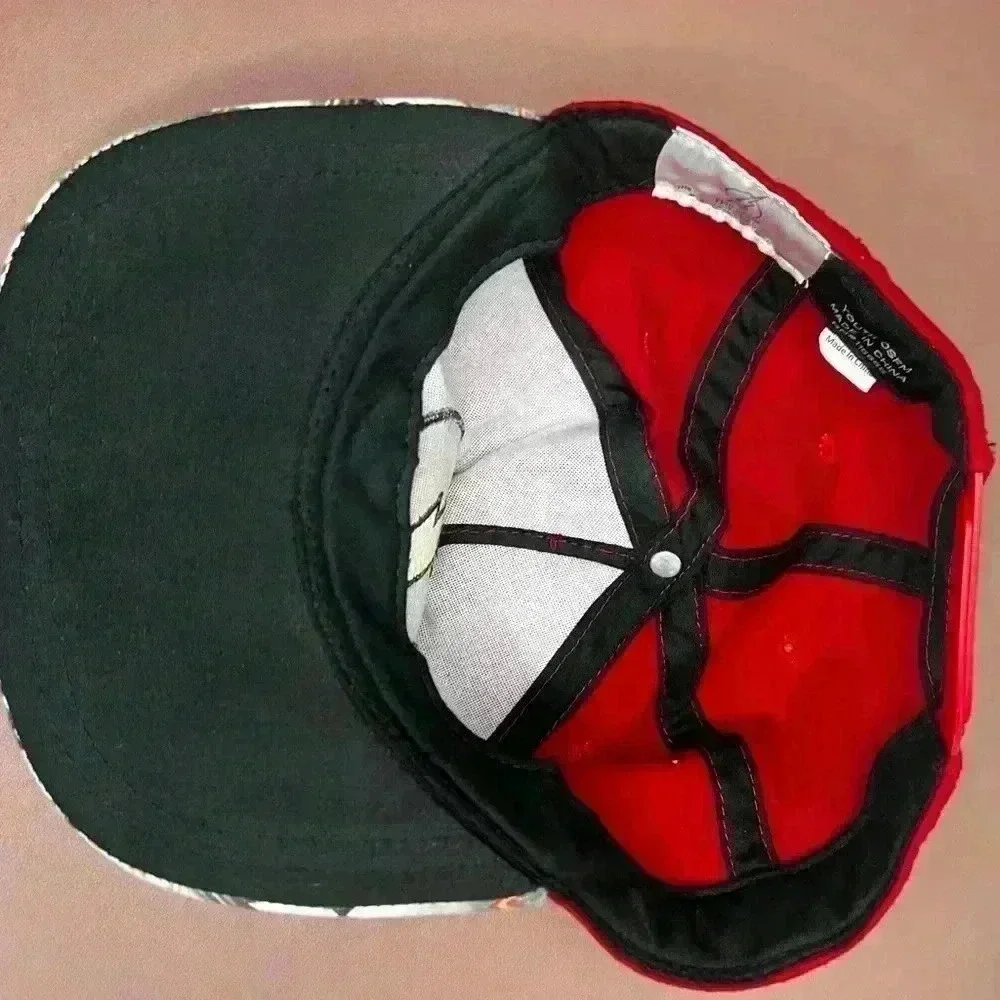 The Flash Youth Size Snap Back Red With A Multi Colored Brim Logo Hat / Cap